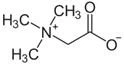 product-124-64 product-124-64